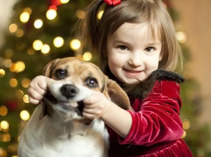 Little Girl Makes Dog Smile for Christmas